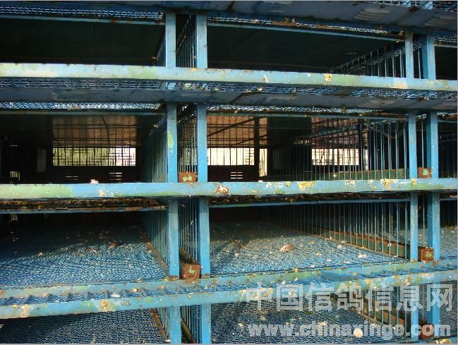 ���������������