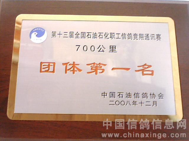 ���й�ʯ���Ÿ�Э�����٣�����3��