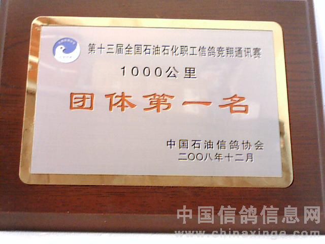 ���й�ʯ���Ÿ�Э�����٣�����4��