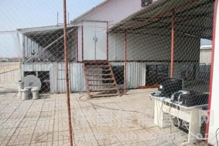 按照省鸽会规定将电脑主机连接情况公开