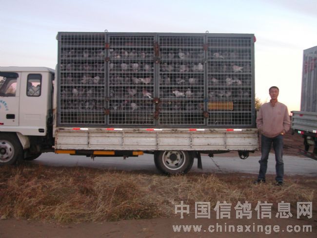 �������������