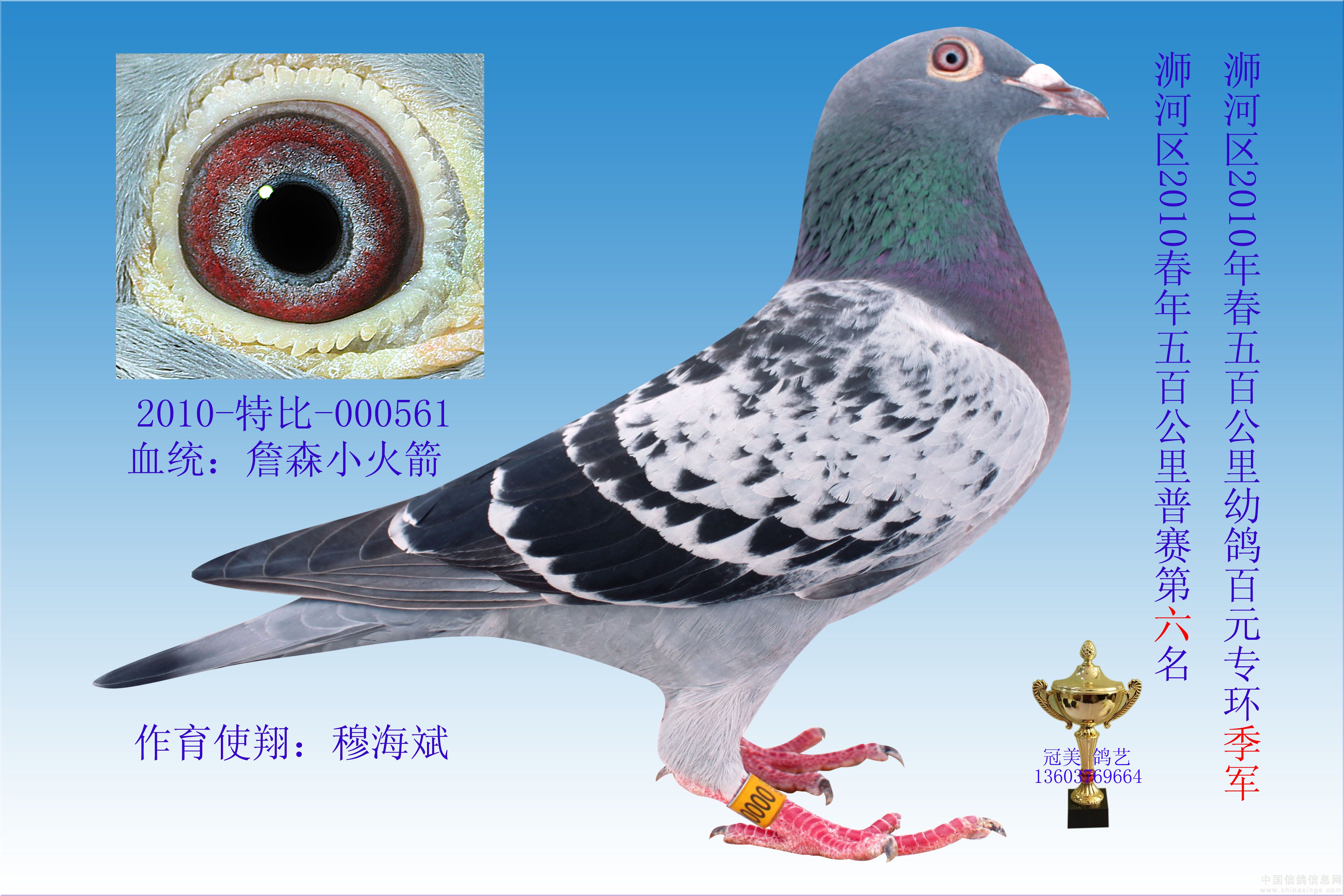 20100521234823954.jpg