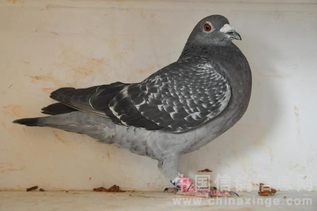 在北京海淀或昌平或密云有哪些技术职业高中-