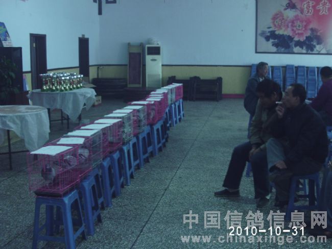 �׸�500�������ǰ20��