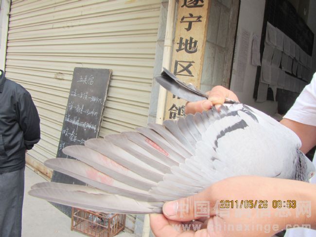 �����Ǿ������