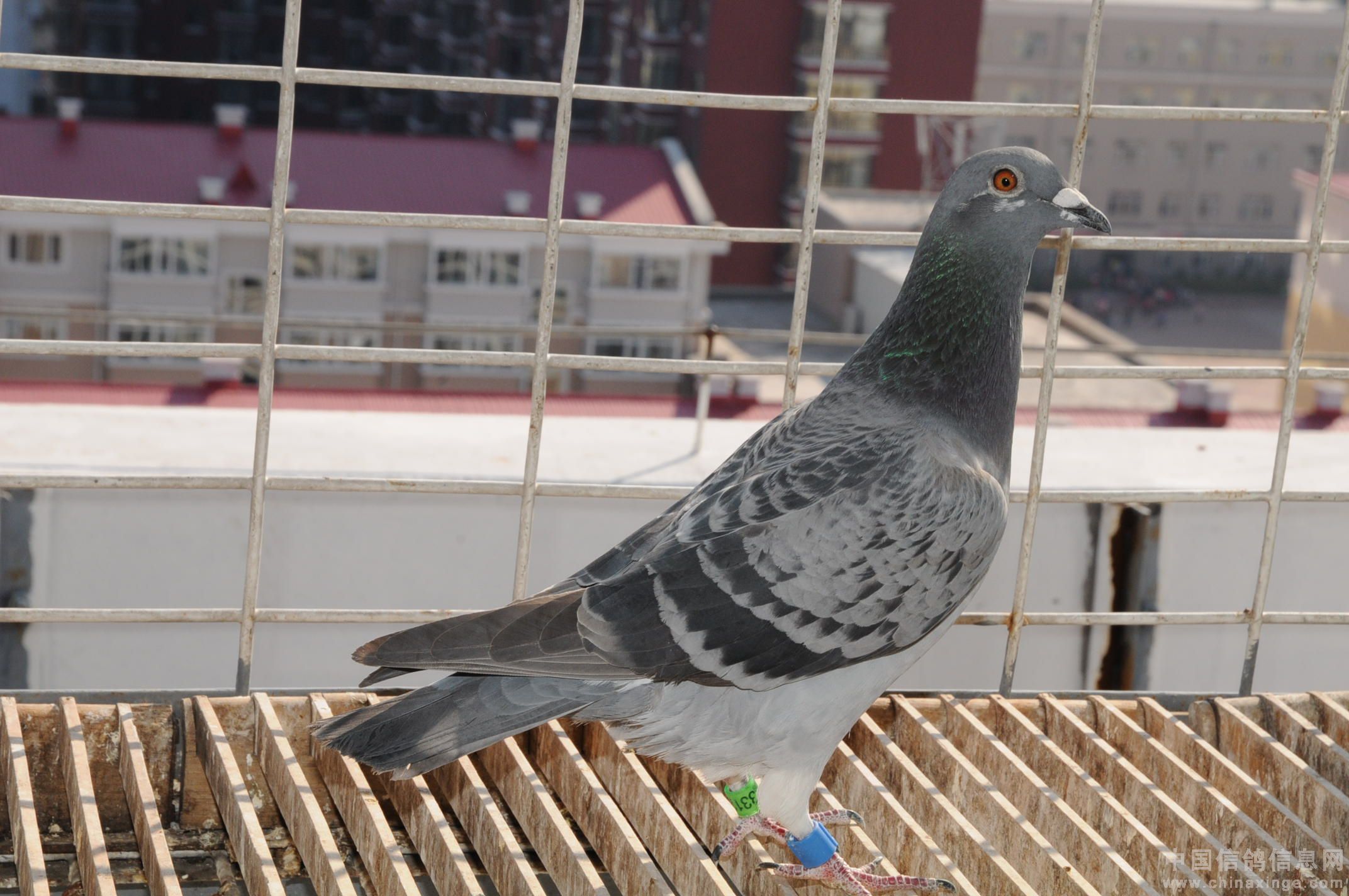 20111014130053579.jpg