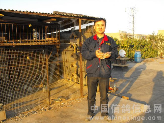 ������Ӣ��