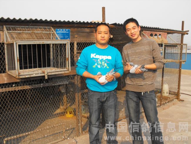 �����̴�