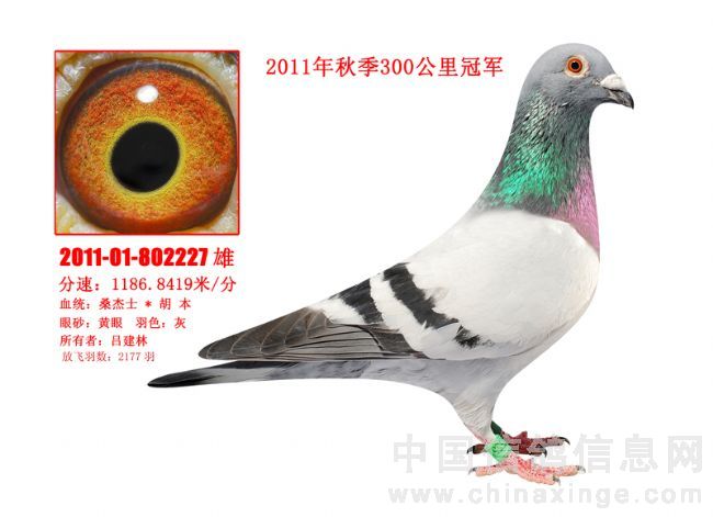 20111219180356584_s.jpg
