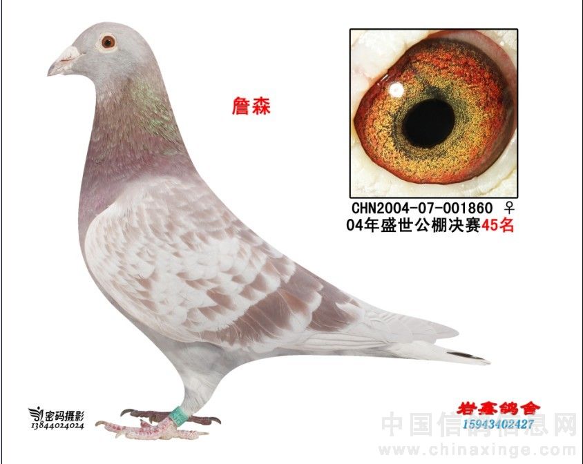 20120120104636653.jpg