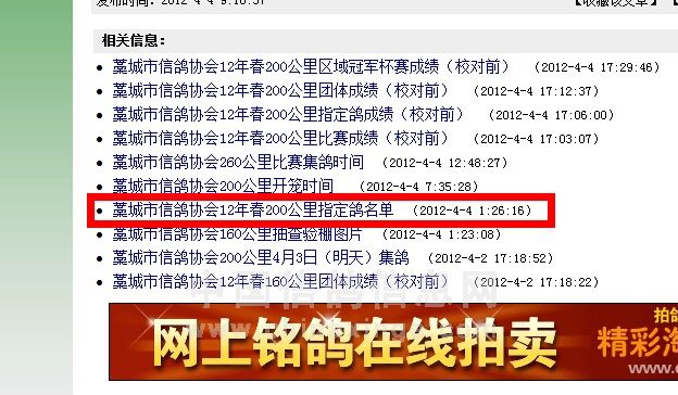 鸽子协会电话号码 20120405105410192.jpg