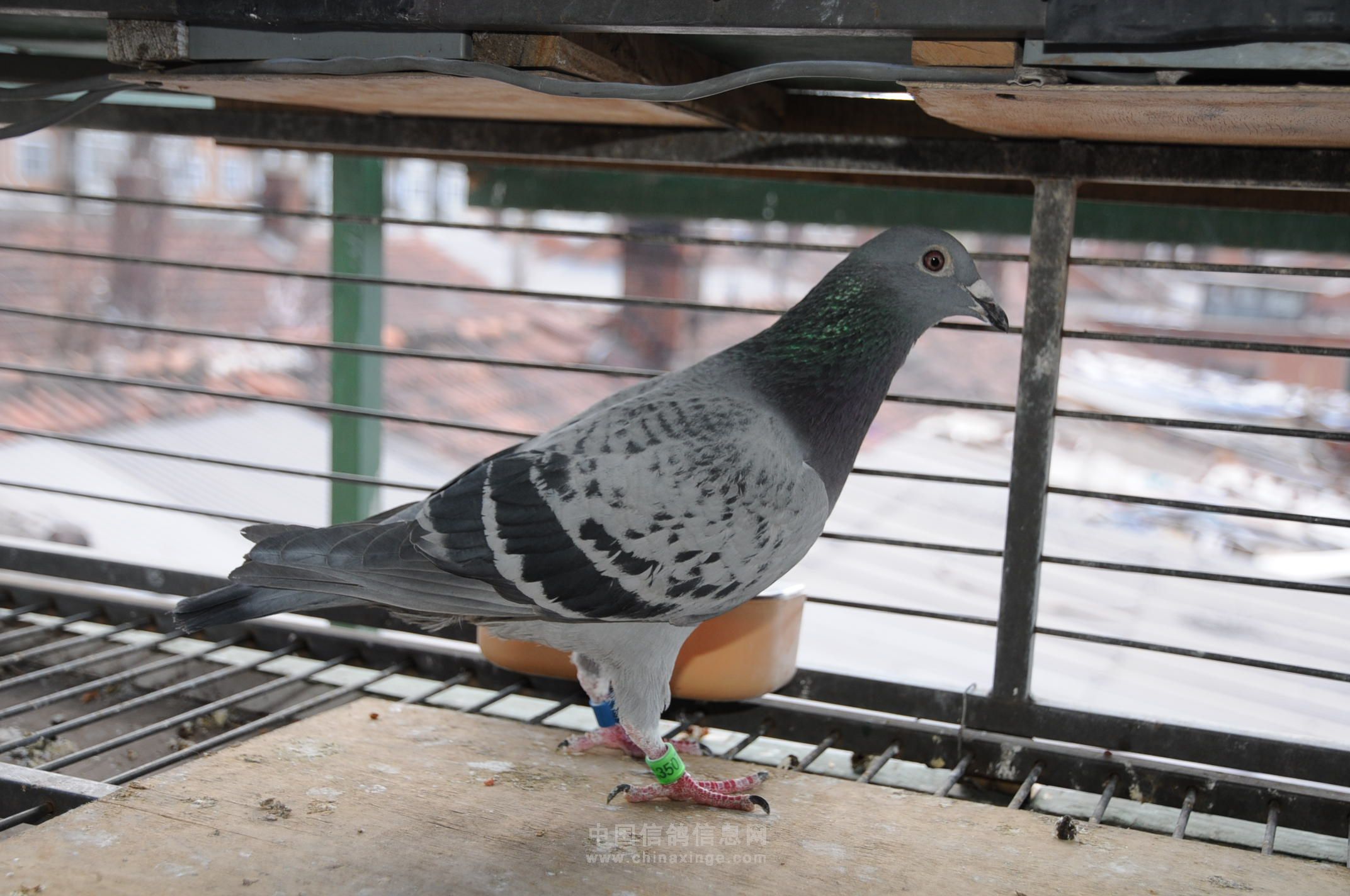 20120512045201951.jpg