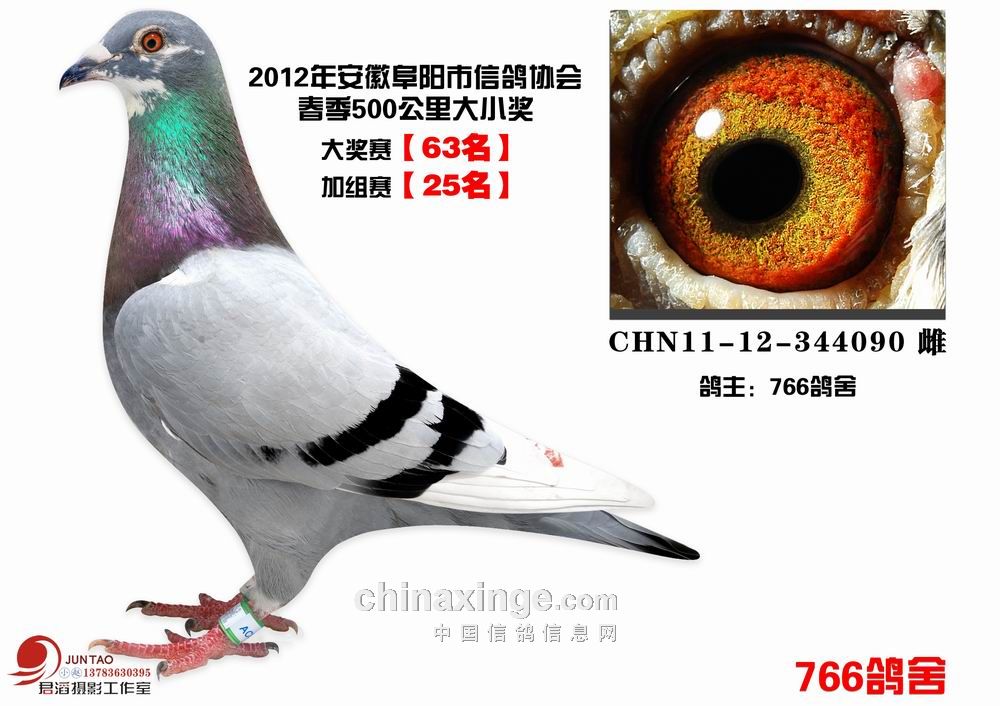 20120519110906542.jpg