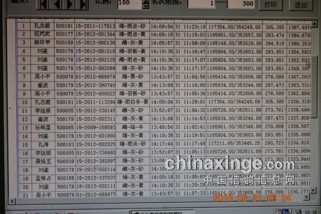 邹城赛协蚌埠成绩-中国信鸽信息网 www.china