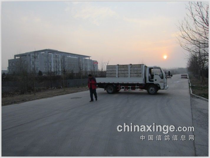 20130403161925298.jpg