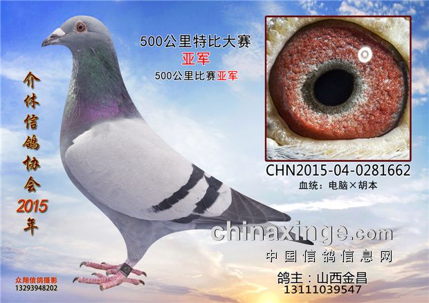 20151022134918430.jpg