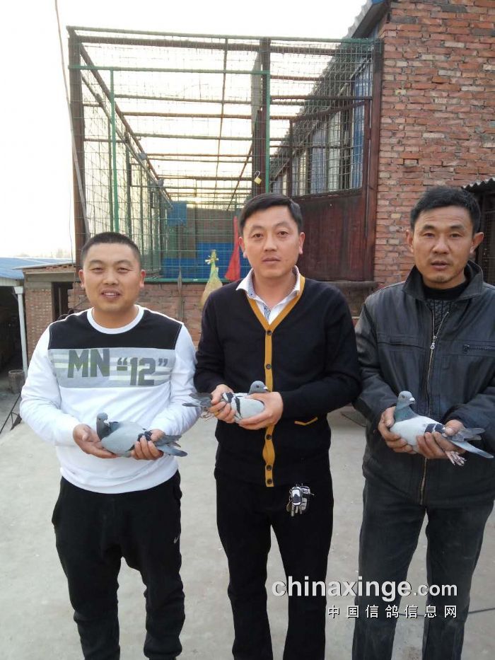 ��һ�����ڶ����������������������