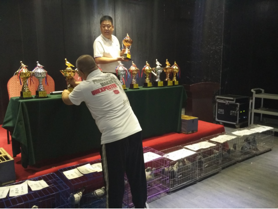 20160425083112607004.png