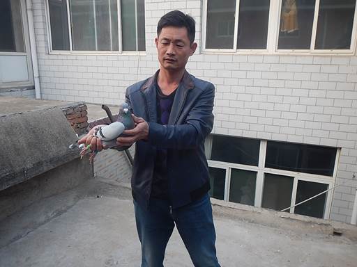 㻷0157172رȻ˫أ300500ۺϵ3