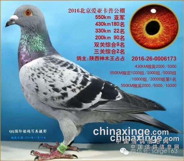 ľŸЭṧףһռռͬ־ñǿվǾ