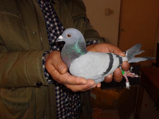 500رȻ422016-15-0157375Ҵƻƣ