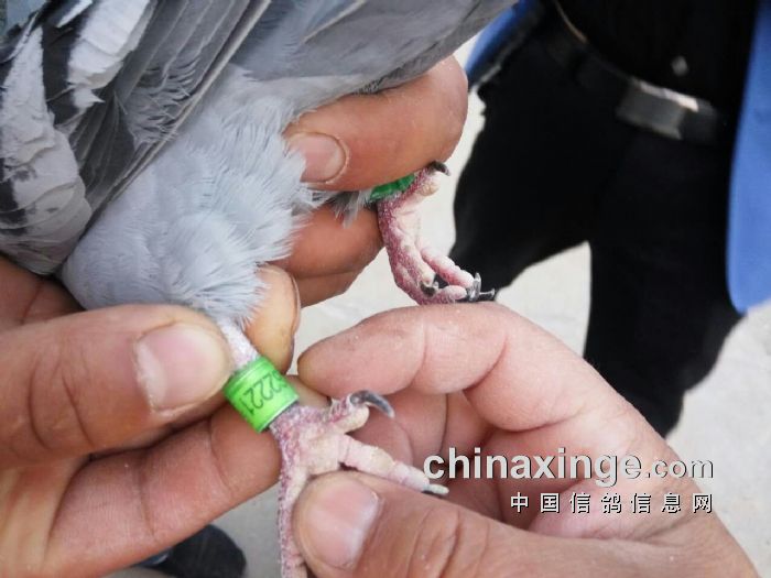 http://gdxh.chinaxinge.com/pic2/201704/20170408084254618_s.jpg