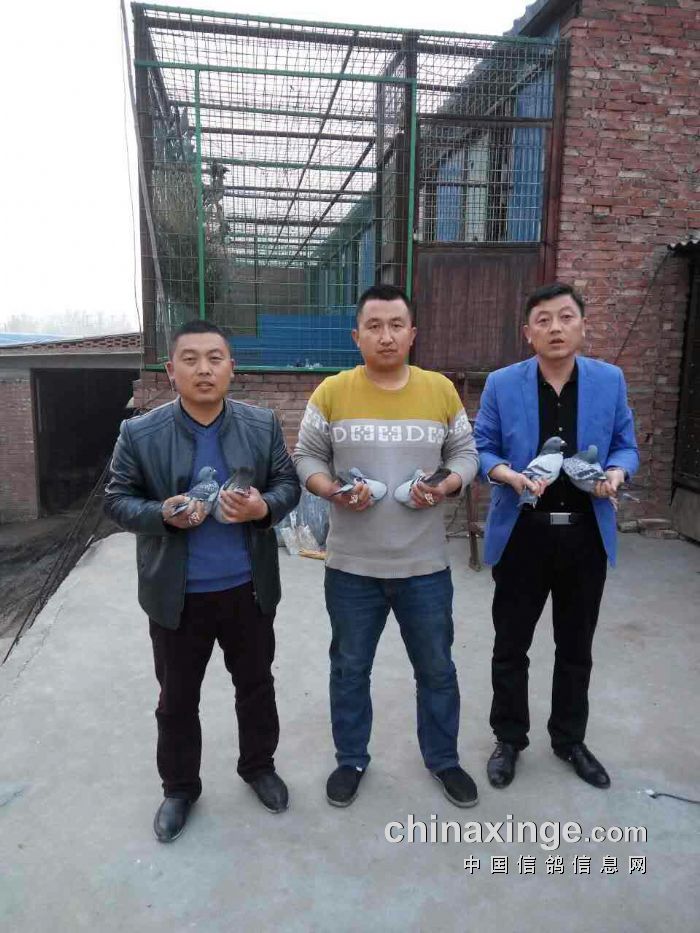 http://gdxh.chinaxinge.com/pic2/201704/20170408084152385_s.jpg