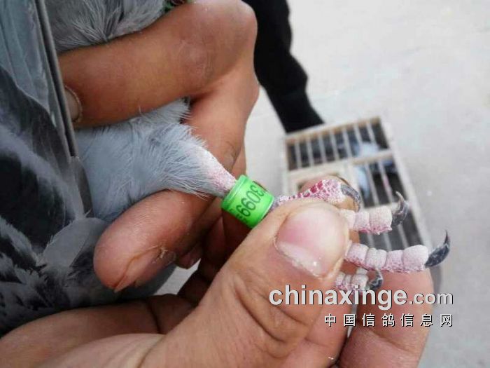 http://gdxh.chinaxinge.com/pic2/201704/20170408084230454_s.jpg
