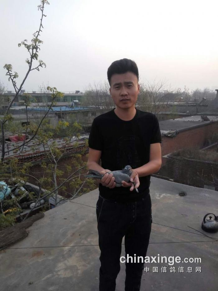 http://gdxh.chinaxinge.com/pic2/201704/20170408084542378_s.jpg