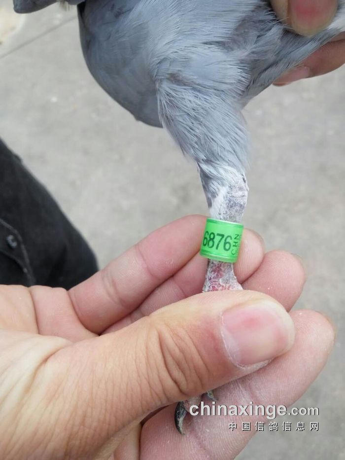 http://gdxh.chinaxinge.com/pic2/201704/20170408084556792_s.jpg