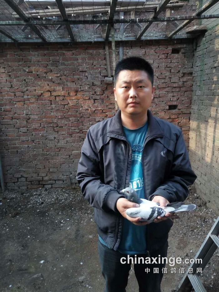 http://gdxh.chinaxinge.com/pic2/201704/20170408084751937_s.jpg