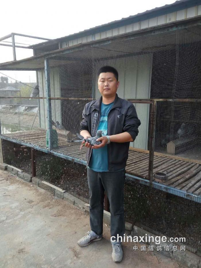 http://gdxh.chinaxinge.com/pic2/201704/20170408084851355_s.jpg