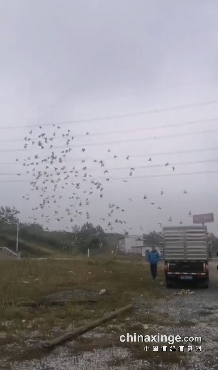 ˲