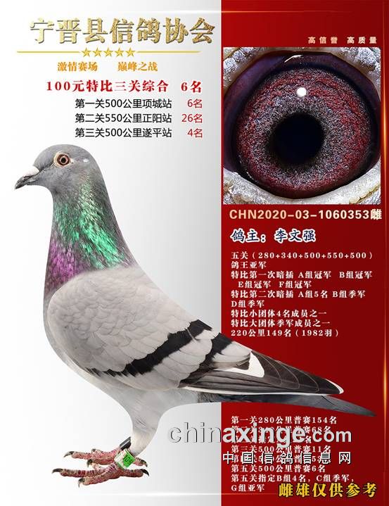 信鸽协会电子会员卡 20201216180951348006.jpg