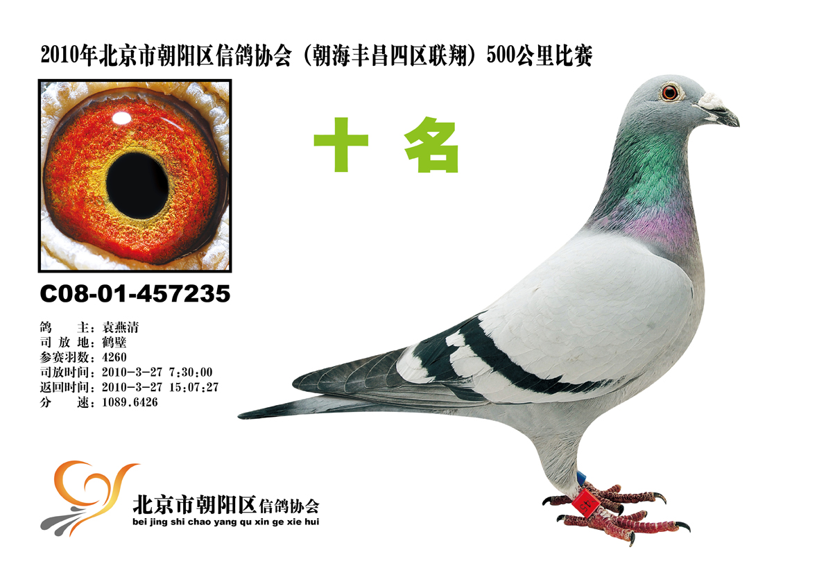 20100515095129.jpg