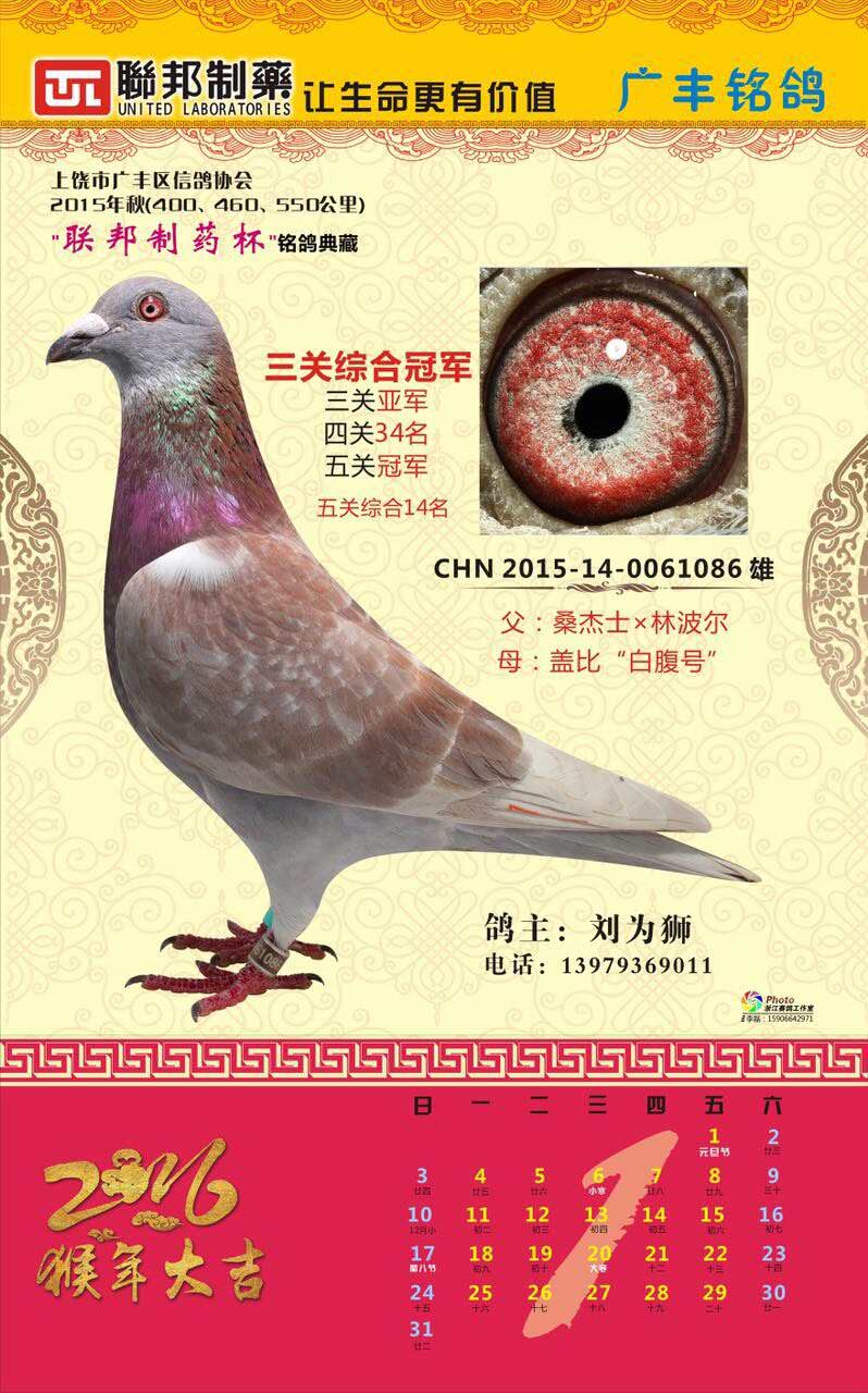 20160125222529.jpg