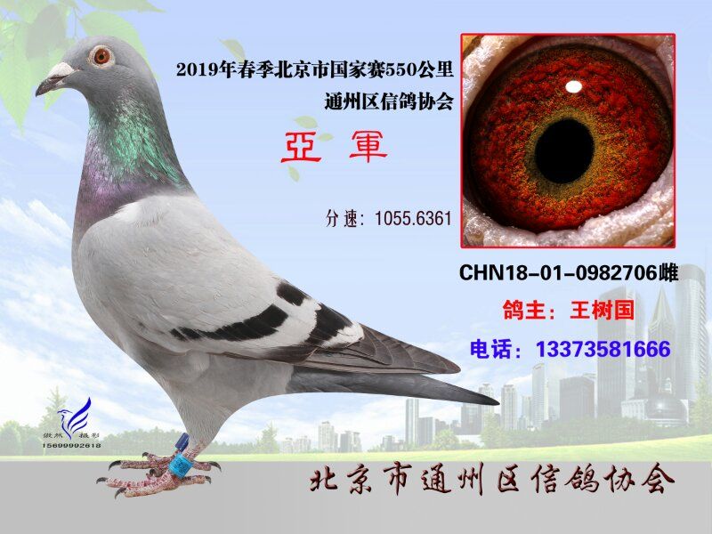 20190508065950410.jpg