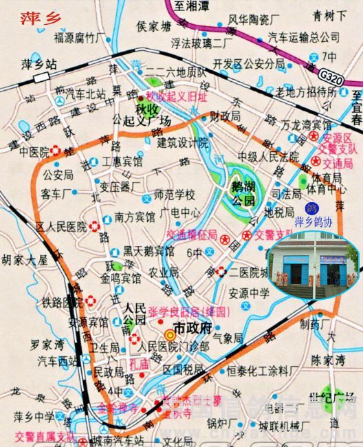 萍乡市信鸽协会简介