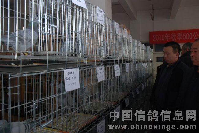 ƺЭ2010رȻ񽱸佱ֳ