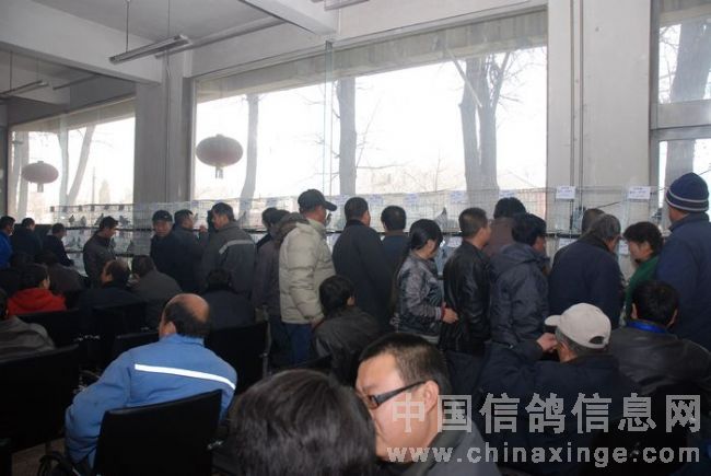 ƺЭ2010رȻ񽱸佱ֳ