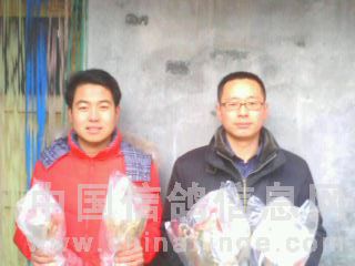 2011年秋双关鸽王冠军亚军姚海亭 季军王洪涛