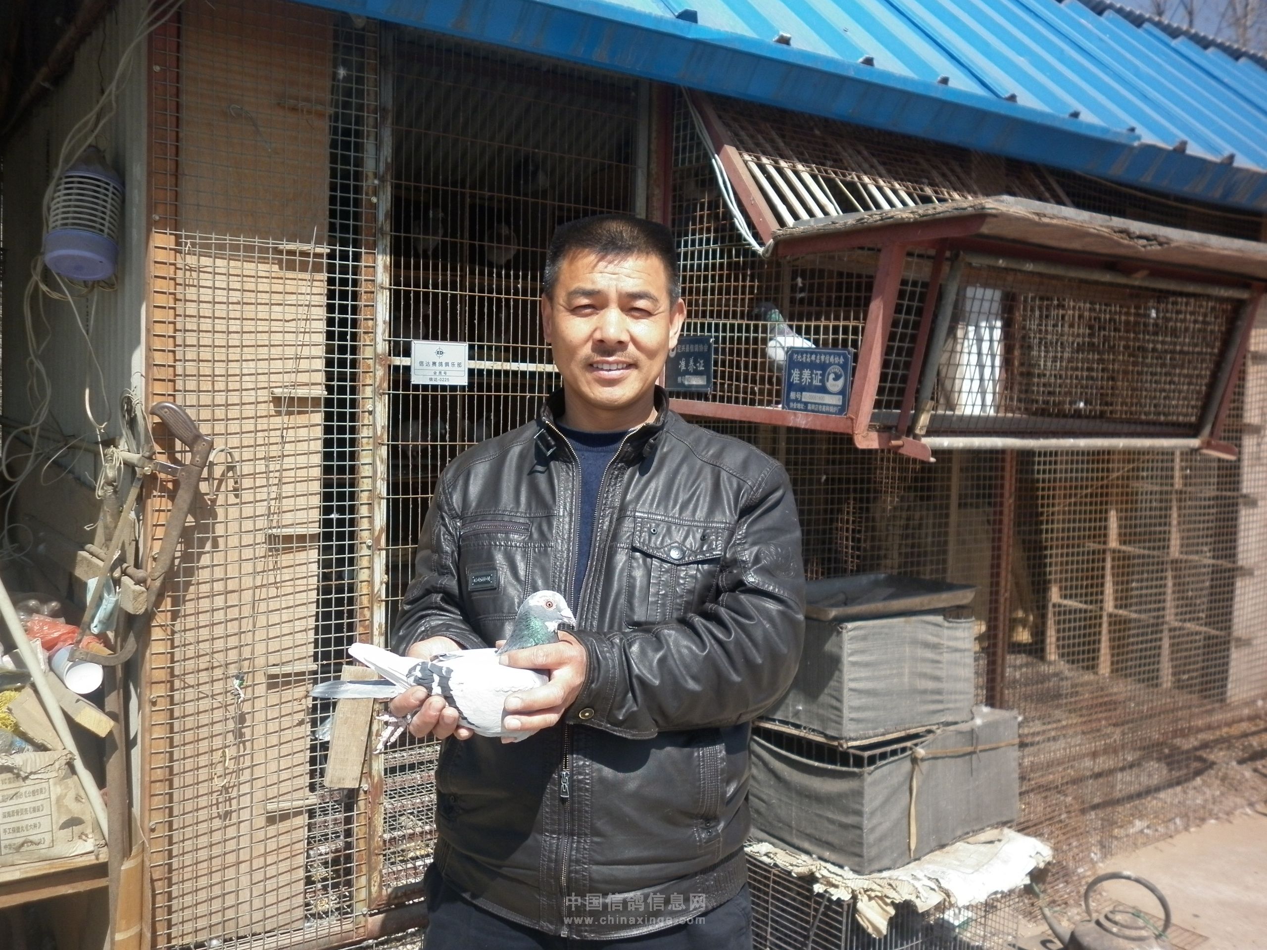 保定定兴300公里前十名照片