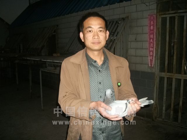 季军,殿军,第十名得主:郑明亚军得主:天翔鸽业