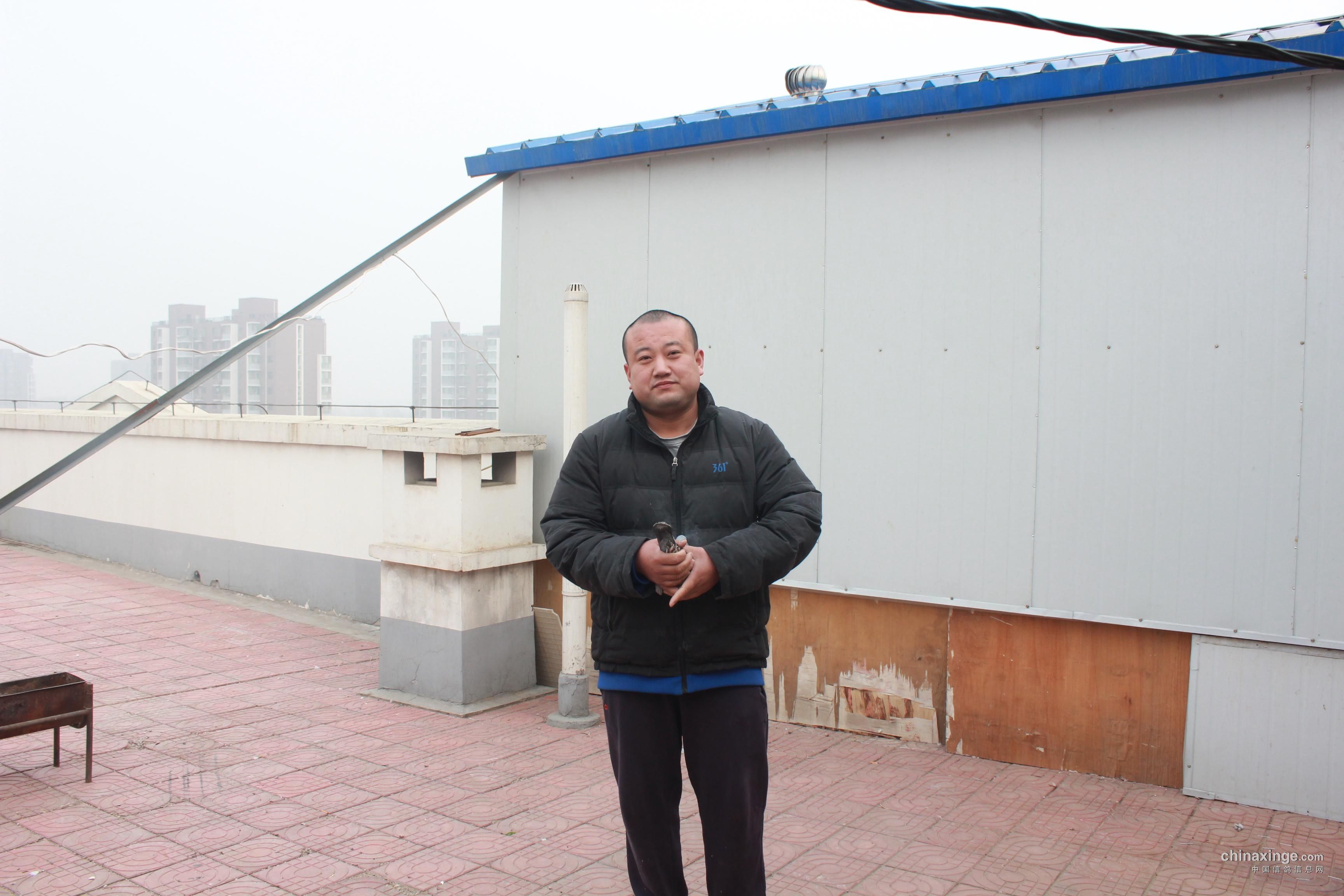 北京长辛店分会500公里前十名(图)