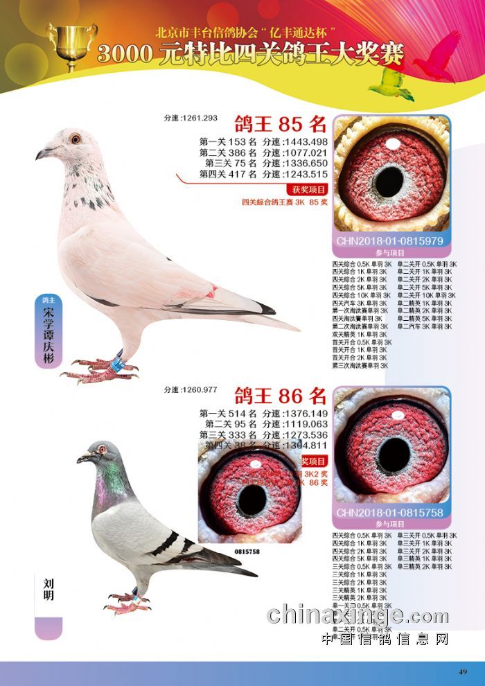 北京刘昆英信鸽展厅图片