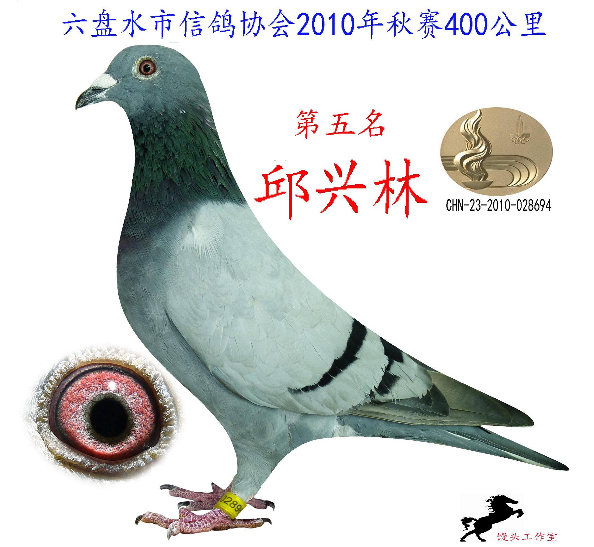 2010秋赛前10名