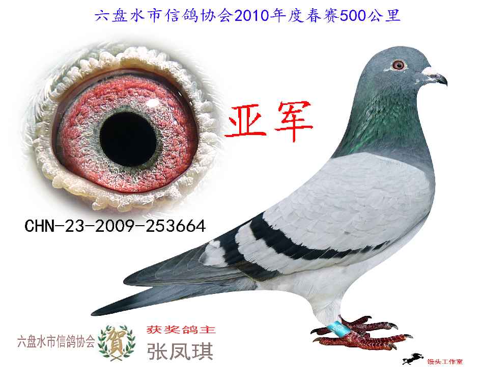 2010年通讯赛前10名
